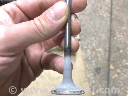 ФОТО Клапан выпускной для Audi (Ауди) A4 B8 - 8K2, 8K5 (08.2007-11.2015) Киев