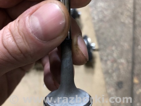 ФОТО Клапан выпускной для Audi (Ауди) A4 B8 - 8K2, 8K5 (08.2007-11.2015) Киев