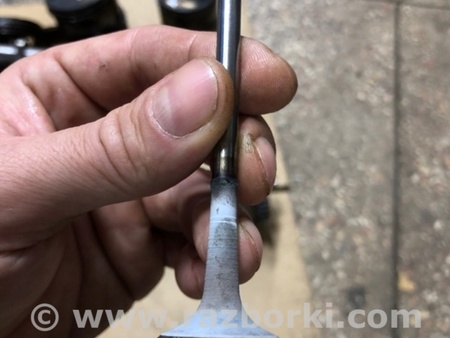ФОТО Клапан выпускной для Audi (Ауди) A4 B8 - 8K2, 8K5 (08.2007-11.2015) Киев