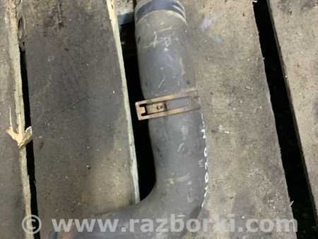 ФОТО Патрубок радиатора для Subaru Outback Киев