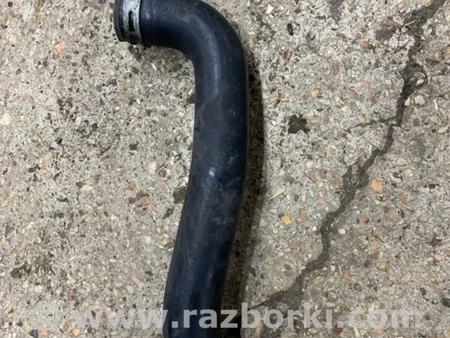 ФОТО Патрубок радиатора для Subaru Forester SG Киев