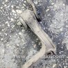 ФОТО Подушка редуктора для KIA Sorento Киев