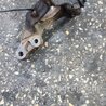 ФОТО Поворотный кулак для Subaru Outback Киев