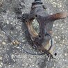 ФОТО Поворотный кулак для Subaru Outback Киев