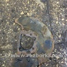 ФОТО тормозной щиток для Subaru Impreza GD/GG Киев