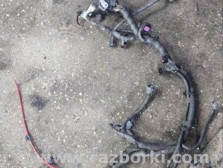 ФОТО Проводка для Subaru Legacy (все модели) Киев