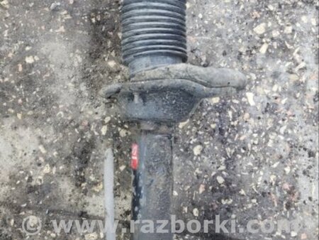 ФОТО Амортизатор для Subaru Impreza GD/GG Киев