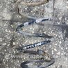 ФОТО Пружина для Subaru Impreza GD/GG Киев