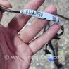 ФОТО Провода прочие для Subaru Legacy (все модели) Киев