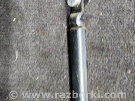 ФОТО Амортизатор багажника для Subaru Outback Киев