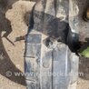 ФОТО Подкрылок для Subaru Legacy (все модели) Киев