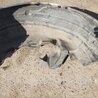 ФОТО Подкрылок для Subaru Outback Киев