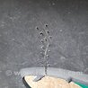 ФОТО Бампер передний для Mazda 3 BK (2003-2009) (I) Киев
