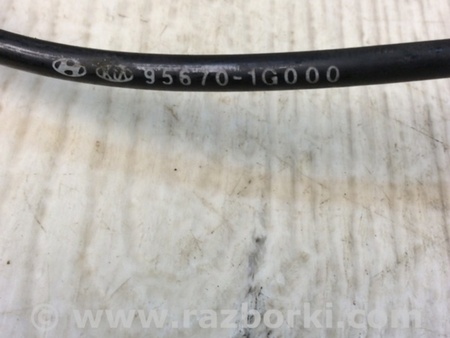 ФОТО Датчик ABS для Hyundai Accent MC Киев