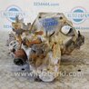 ФОТО МКПП (механическая коробка) для Honda Accord CG, CH (01.1998 - 01.2003) Киев