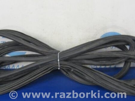 ФОТО Уплотнитель двери для Honda Accord Coupe (07-12) Киев