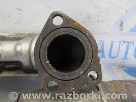 ФОТО Глушитель для Honda Accord Coupe (07-12) Киев