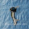 ФОТО Кнопки руля для Honda Accord Coupe (07-12) Киев