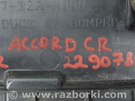 ФОТО Защита переднего бампера для Honda Accord CR CT (06.2013 - 01.2020) Киев