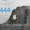 ФОТО Защита двигателя для Honda Accord CU (12.2008 - 03.2013) Киев