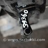 ФОТО Петля двери верхняя для Honda Accord CU (12.2008 - 03.2013) Киев