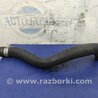 ФОТО Патрубок системы охлаждения для Honda Accord CM (11.2002 - 12.2008) Киев
