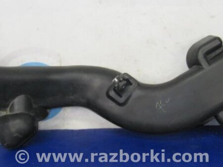 ФОТО Воздухозаборник для Honda Accord CW (12.2008 - 03.2013) Киев