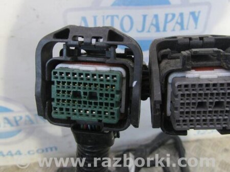 ФОТО Проводка моторного отсека для Honda Accord CW (12.2008 - 03.2013) Киев
