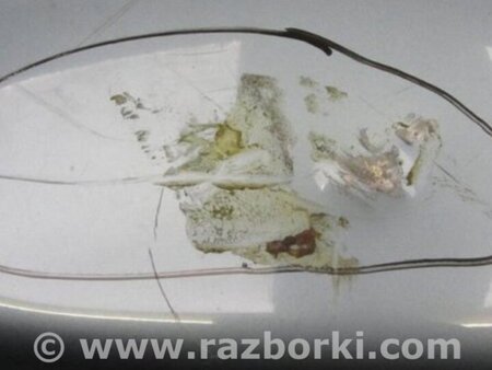 ФОТО Крышка багажника для Toyota Avalon XX30 (12.2004-10.2012) Киев