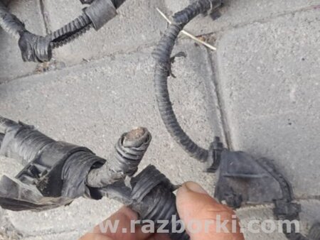 ФОТО Проводка моторного отсека для Toyota Avensis T250 (02.2003-10.2009) Киев