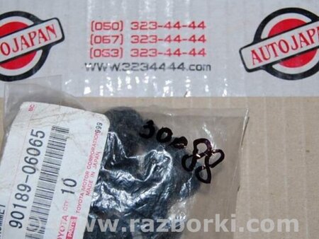 ФОТО Клипса крепежная (андапки) для Toyota Camry 20 XV20 (08.1996-01.2002) Киев