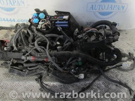 ФОТО Проводка моторного отсека для Toyota Camry 40 XV40 (01.2006-07.2011) Киев