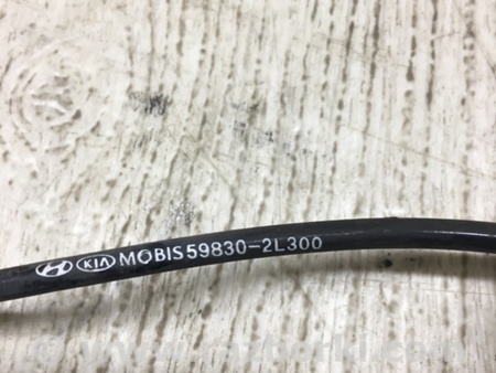 ФОТО Датчик ABS для Hyundai Elantra HD (04.2006-03.2012) Киев