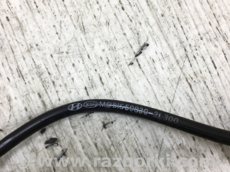 ФОТО Датчик ABS для Hyundai Elantra HD (04.2006-03.2012) Киев