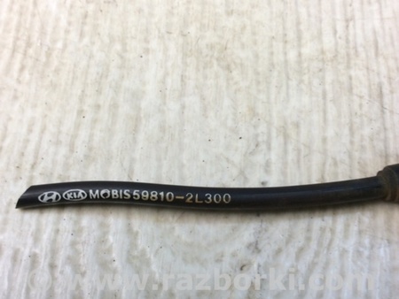 ФОТО Датчик ABS для Hyundai Elantra HD (04.2006-03.2012) Киев
