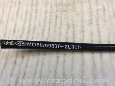 ФОТО Датчик ABS для Hyundai Elantra HD (04.2006-03.2012) Киев