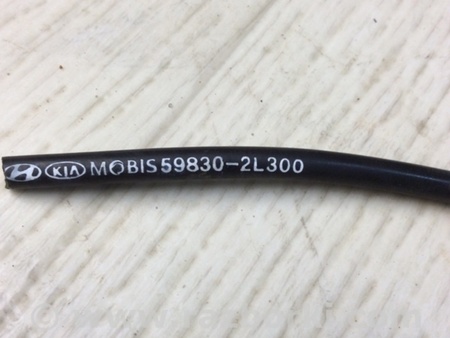 ФОТО Датчик ABS для Hyundai Elantra HD (04.2006-03.2012) Киев