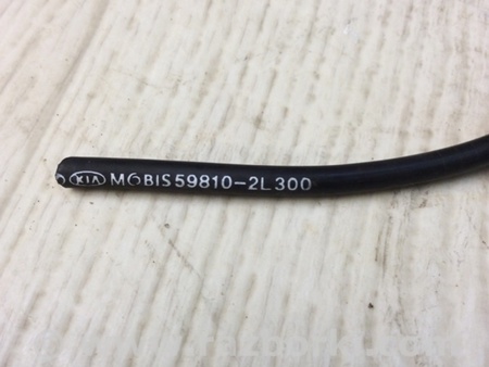ФОТО Датчик ABS для Hyundai Elantra HD (04.2006-03.2012) Киев