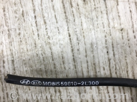 ФОТО Датчик ABS для Hyundai Elantra HD (04.2006-03.2012) Киев