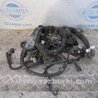 Проводка моторного отсека Lexus ES300/ES330 (01-06)