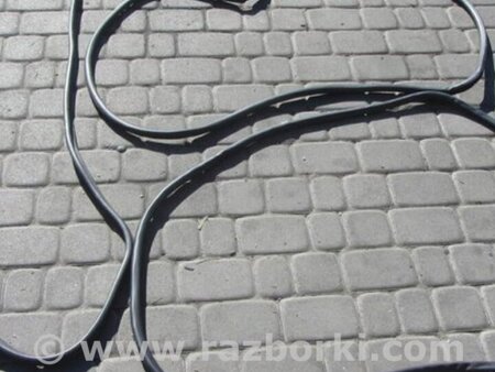 ФОТО Уплотнитель двери для Lexus ES350 (06-12) Киев