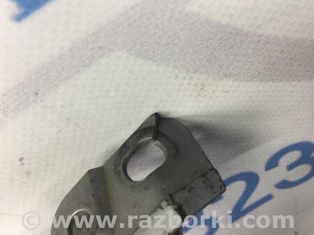 ФОТО Решетка радиатора для Lexus ES350 (06-12) Киев