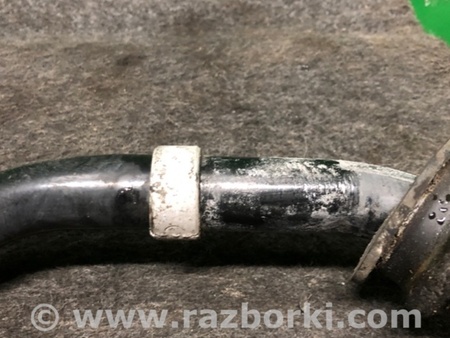 ФОТО Стабилизатор задний для Infiniti EX35 (37) (07-12) Киев