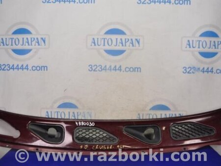 ФОТО Пластик под лобовое стекло (Жабо) для Toyota FJ Cruiser Киев