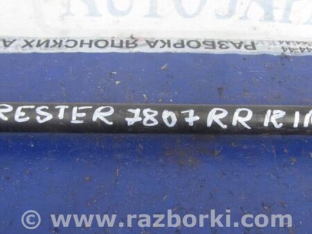 ФОТО Стабилизатор задний для Subaru Forester (2013-) Киев