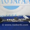 Рычаг задний нижний поперечный Lexus IS250/350 (06-12)