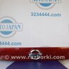 Подсветка номера Nissan Juke (10-19)