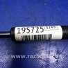 ФОТО Амортизатор крышки багажника для Mitsubishi Lancer X 10 (08-17) Киев