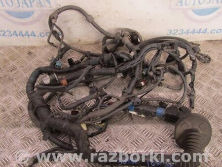 ФОТО Проводка моторного отсека для Toyota Land Cruiser Prado 120 Киев