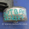ФОТО Натяжитель ремня приводного для Subaru Outback BR Киев